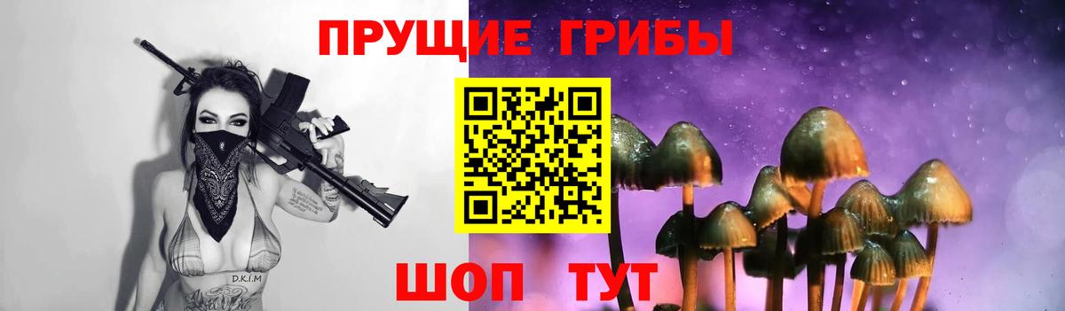 Псилоцибиновые грибы Psilocybine cubensis  Вход с VPN  Изобильный 